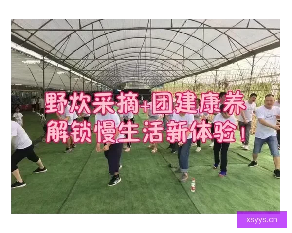 “天天插天天”——解锁生活新乐趣，点燃每日激情